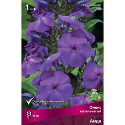 ������ ������ ����� ����������� ����   ����