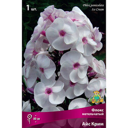 ������ ������ ����� ����������� ��� ����   ����