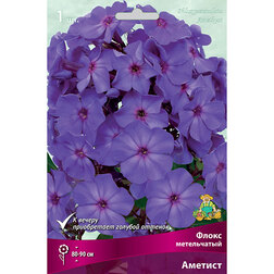 ������ ������ ����� ����������� �������   ����