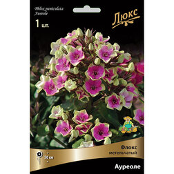 ������ ������ ����� ����������� �������   ����