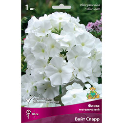 ������ ������ ����� ����������� ���� �����   ����