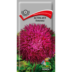 ������ ������ ����� ��� ��������   ����