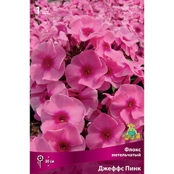 ������ ������ ����� ����������� ����� ����   ����