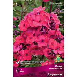 ������ ������ ����� ����������� ���������   ����