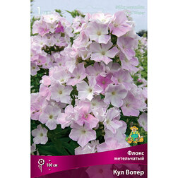 ������ ������ ����� ����������� ��� �����   ����