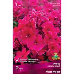 ������ ������ ����� ����������� ���� ����   ����