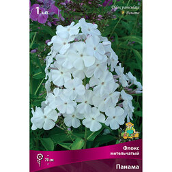 ������ ������ ����� ����������� ������   ����