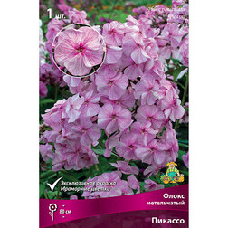 ������ ������ ����� ����������� �������   ����