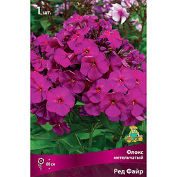 ������ ������ ����� ����������� ��� �����   ����