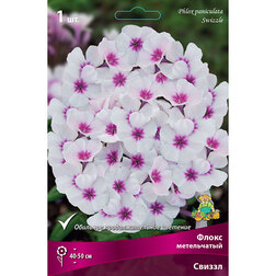 ������ ������ ����� ����������� ������   ����