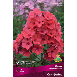 ������ ������ ����� ����������� ���������   ����