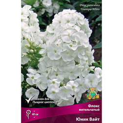 ������ ������ ����� ����������� ���� ����   ����