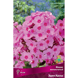 ������ ������ ����� ����������� ���� ����   ����