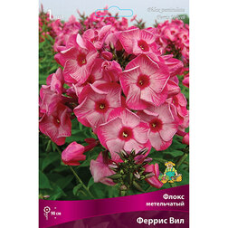 ������ ������ ����� ����������� ������ ���   ����