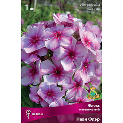 ������ ������ ����� ����������� ���� ����   ����