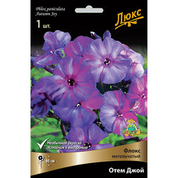 ������ ������ ����� ����������� ���� ����   ����