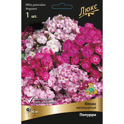 ������ ������ ����� ����������� �������   ����