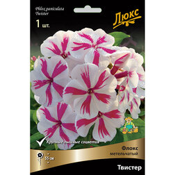 ������ ������ ����� ����������� �������   ����