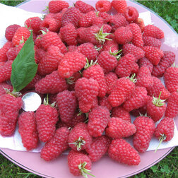 ������ ������ ������ ��������   ����