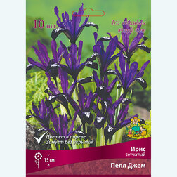 ������ ������ ���� �������� ���� ���� (10 ��.)   ����