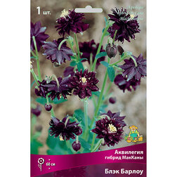 ������ ������ ��������� ������ ������� ������ ����   ����