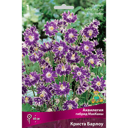 ������ ������ ��������� ������ ������� ������ ������   ����