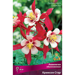 ������ ������ ��������� ������������ ������� ����   ����