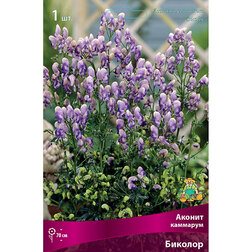 ������ ������ ������ �������� �������   ����