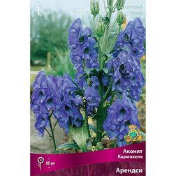 ������ ������ ������ ��������� �������   ����