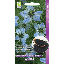 ������ ������ ������� �������� ���� (������ ����)   ����