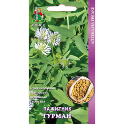 ������ ������ �������� ������   ����