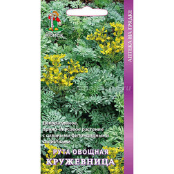 ������ ������ ���� ������� ����������   ����