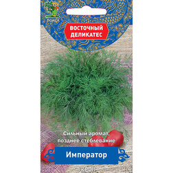 ������ ������ ����� ��������� (��������� ���������)   ����