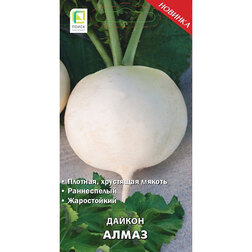 ������ ������ ������ �����   ����