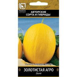 ������ ������ ���� ���������� ����   ����