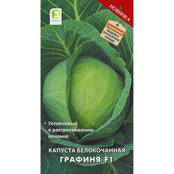 ������ ������ ������� ������������ ������� F1   ����