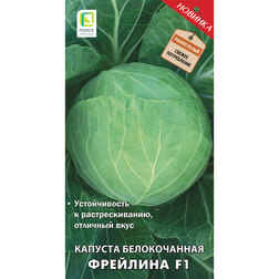 ������ ������ ������� ������������ �������� F1   ����