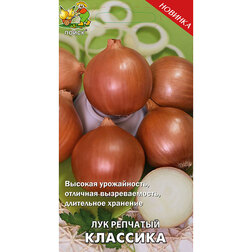 ������ ������ ��� �������� ��������   ����