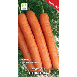 ������ ������ ������� �������   ����