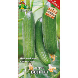 ������ ������ ������ ���� F1   ����