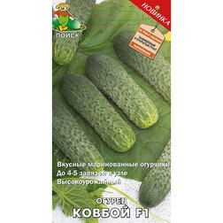 ������ ������ ������ ������ F1   ����