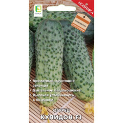 ������ ������ ������ ������� F1   ����