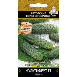 ������ ������ ������ ���������� F1   ����