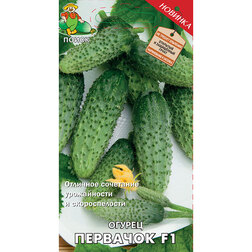 ������ ������ ������ �������� F1   ����