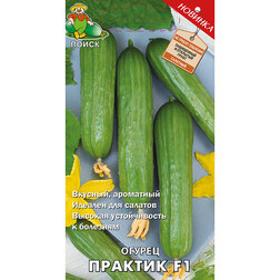 ������ ������ ������ ������� F1   ����