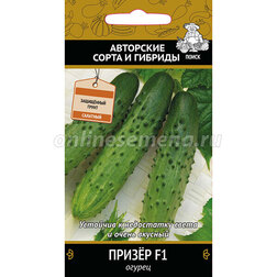 ������ ������ ������ ����� F1   ����