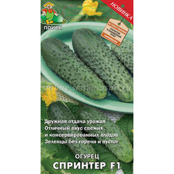 ������ ������ ������ �������� F1   ����