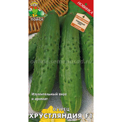 ������ ������ ������ ����������� F1   ����