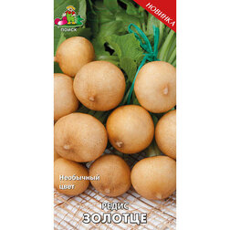 ������ ������ ����� �������   ����