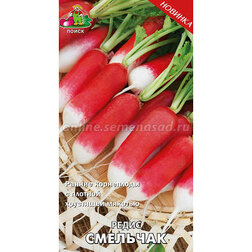 ������ ������ ����� ��������   ����